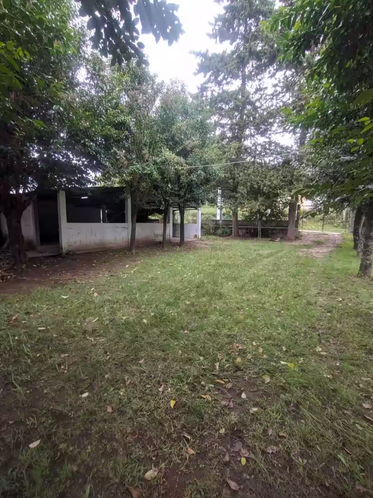 Casa completa Vista Montaña
